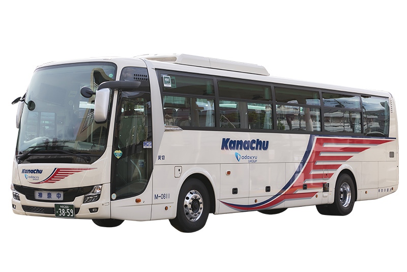 スケルトンタイプ