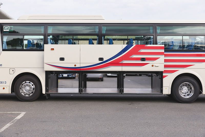 スケルトンタイプ