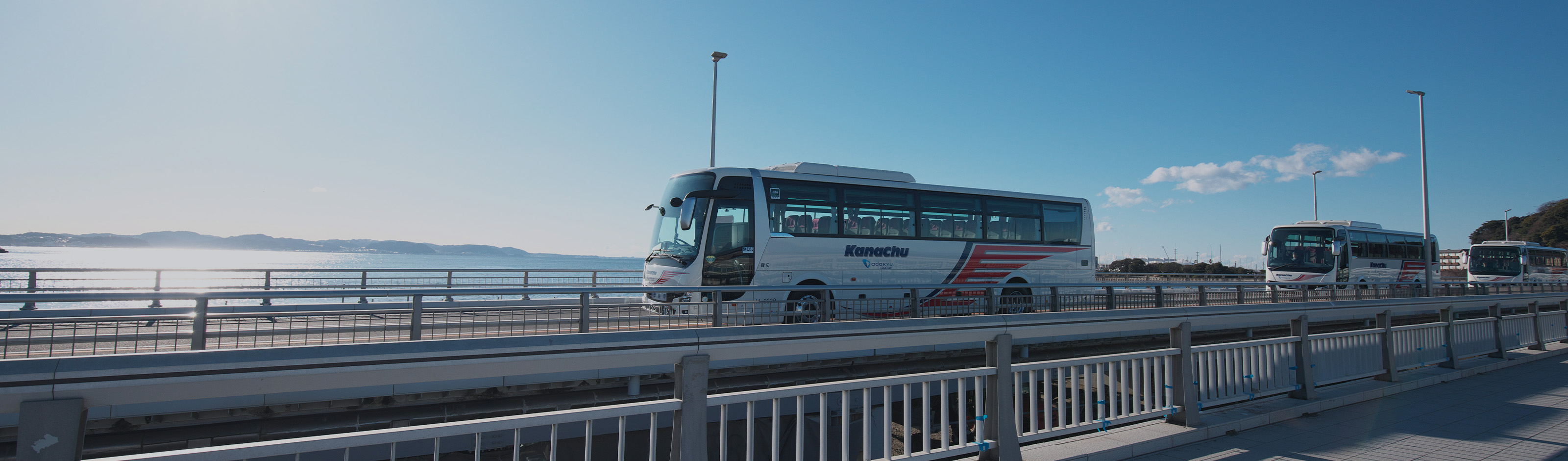 BUS TYPE 保有バスタイプ