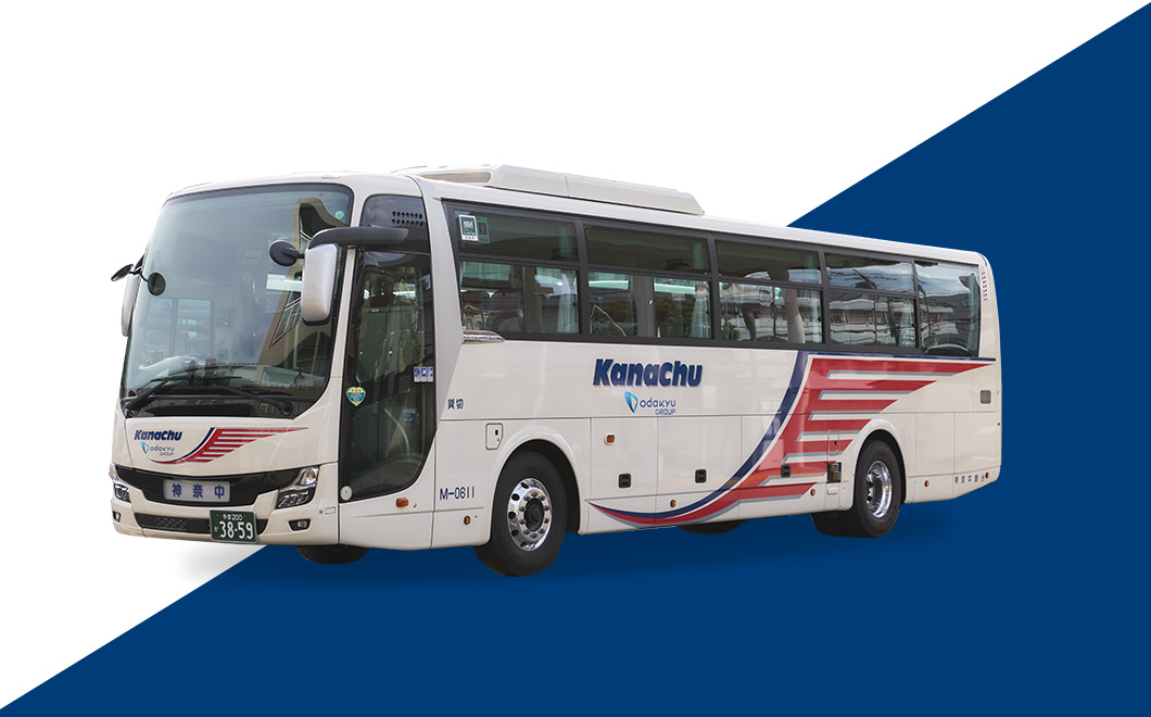 スケルトンタイプ